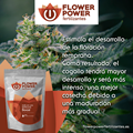 Imagen de Fertilizante Flower Power Linea Básica Boost