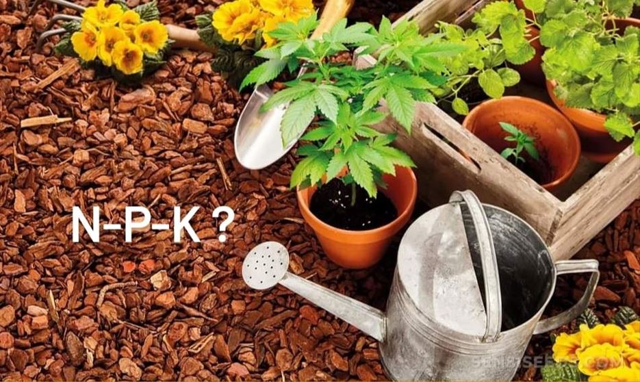 What does N-P-K mean on fertilizers?