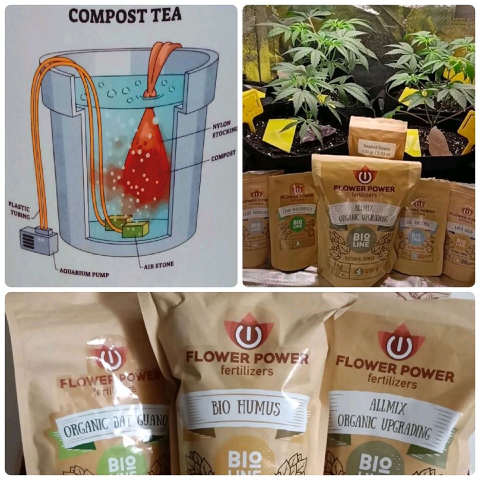Organic Farming with Compost Tea