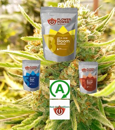 Picture of Fertilizer Kit Autoflowers XL