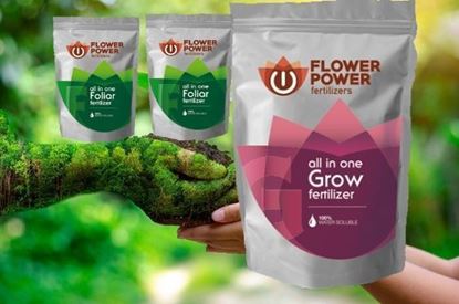 Imagen de Kit de Fertilizantes Plantas Madres Pro XL