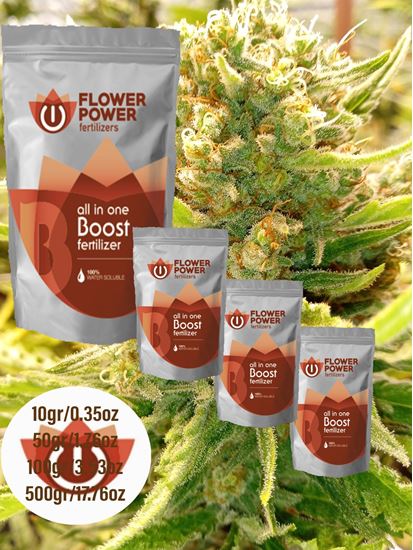 Imagen de Fertilizante Flower Power Linea Básica Boost