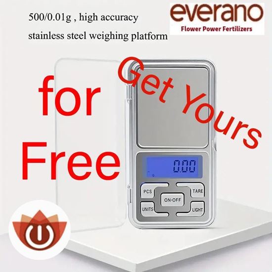 Picture of Digital Precision Scale for Free click here for info and get yours