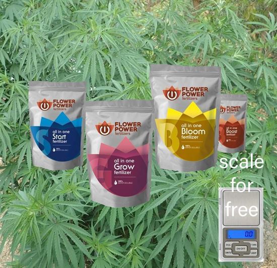 Picture of Fertilizer Kit for Growing Outdoor XL