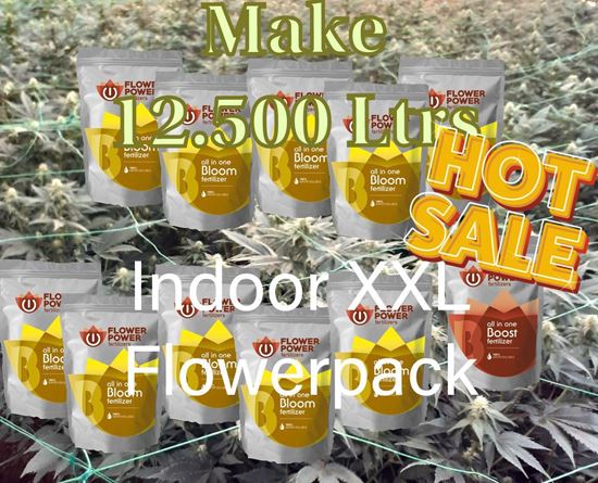 Imagen de Kit de Fertilizantes Cultivos Interior XXL Flowerpack