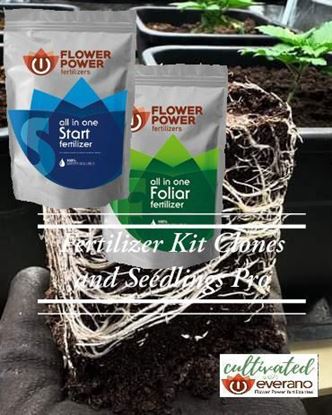 Imagen de Kit de Fertilizantes Clones y Semilleros Pro