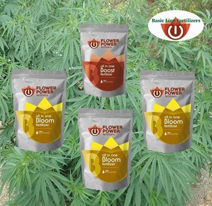 Imagen de Kit de Fertilizantes Exterior Superflower XXL