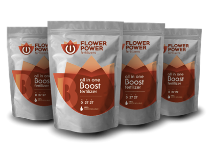 Picture of Flower Power Boost Fertilizer Basic Line