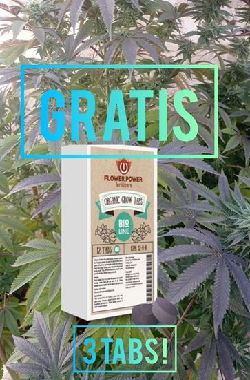 Picture of GRATIS see description